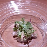 ひまわり食堂2 - うさぎのサラダ