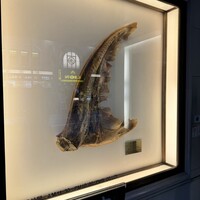 筑紫樓 銀座店 - 