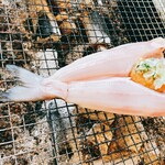 炉ばた ちどり - 