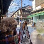 国産ハイボール酒場 八一堂 - 