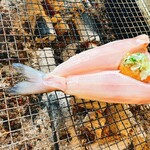 炉ばた ちどり - 