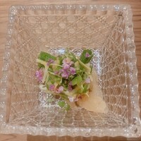 鮨 さえ喜 - 