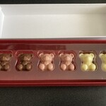 CACAO SAMPAKA - 6匹のこぐま（3種）