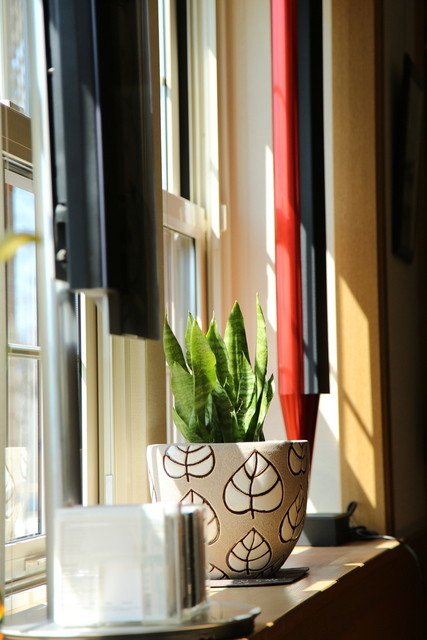 花の木茶房 - 洞爺（レストラン）の写真