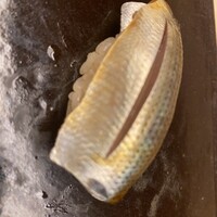 鮨 木場谷 -  鮨 木場谷 -