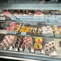 フィオレンティーナ - 