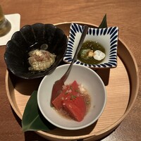 SHIKAKU - 