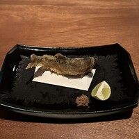 SHIKAKU - 