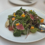 Arancino di Mare - 色とりどりのサラダ