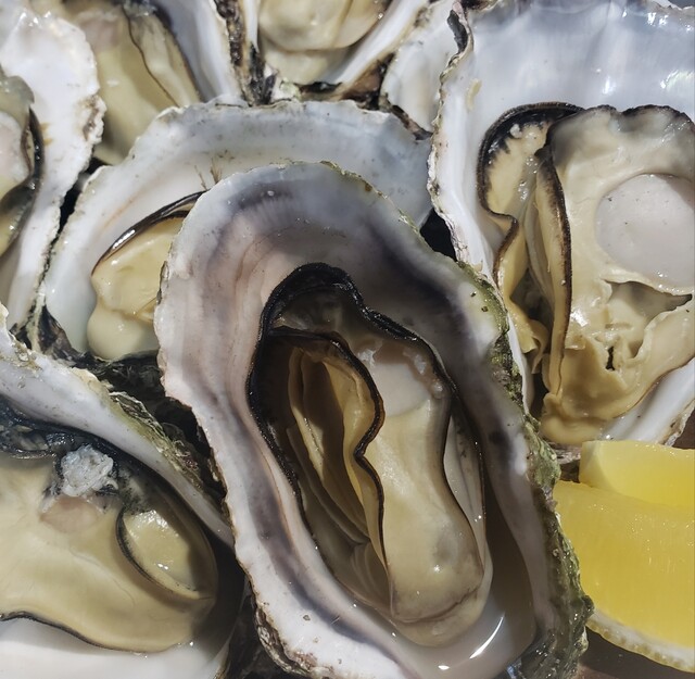 Hiroshima Akayaki En Ekinishi Honten