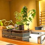 日本焼肉はせ川 表参道店 - 