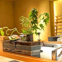 日本焼肉はせ川 表参道店 - 