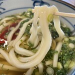 宮武讃岐うどん さいたま新都心店 - つるりとコシのあるうどんとシャキッとしたネギと出汁つゆが美味い(৹ᵒ̴̶̷᷄ ༥ ᵒ̴̶̷᷅৹)