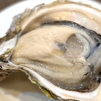 四ツ橋・新町 牡蠣と肉たらしビストロAKIRA - 