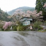 淡水荘 - 桜並木