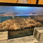 日比谷 蟹みつ - 