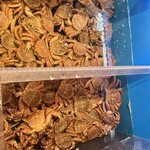 日比谷 蟹みつ - 