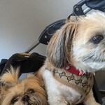 The Pie Hole Los Angeles Kyu Karuizawa