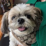 The Pie Hole Los Angeles Kyu Karuizawa - 