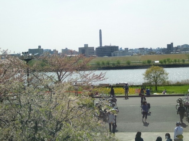 Miharashi Chaya photo 4