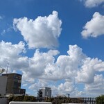 NIBOSHI MANIA - 夏の空