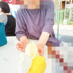 よってけポポラ - 