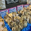 マルニ木下水産 和商市場店