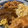 もうやんカレー しんばし