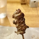 地葉はなれ - 2024.8.  はつもと