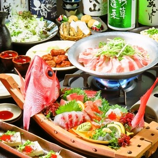 各種ご宴会のご予約はお早めに！大人気！湘南コースをご用意