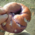 ベーグルU - 紫芋ホワイトチョコベーグル