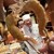 串かつ あーぼん - 料理写真: