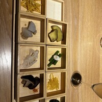現代里山料理 ZEN HOUSE - 