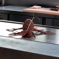 TEPPANYAKI 10 SHIBUYA - 
