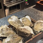 アルギュロス - 