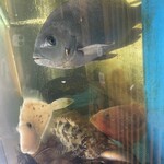 磯料理 うお咲 - 