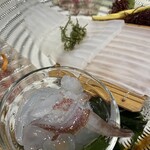 せいもん払い - 活いか、ゲソ旨し