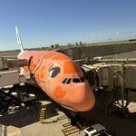 ANA SUITE LOUNGE、ANA LOUNGE - フライングホヌ3号機