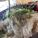 民宿 磯料理 海上亭 - 生しらす丼
