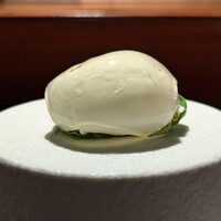 TACUBO - 