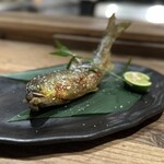 動悸 - あゆで～す