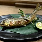 動悸 - 鮎　石川