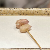 日本橋 蕎ノ字 - 初もの『落花生』ご主人のご実家でとれた初もの！