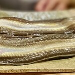 日本橋 蕎ノ字 - 穴子