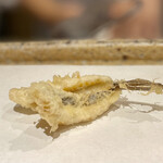 日本橋 蕎ノ字 - めごち。キスよりワイルドなビジュアルながら、旨みはこちらのが上かなぁ⁉️なんて感じるくらい絶品でした。