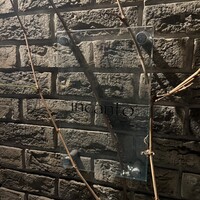 インカント - 