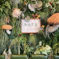 Shangri-La’s secret 表参道店 -  Shangri-La’s secret 表参道店 -