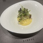 CIRPAS - 