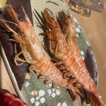 しらすくじら 極 - 