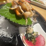 しらすくじら 極 - 